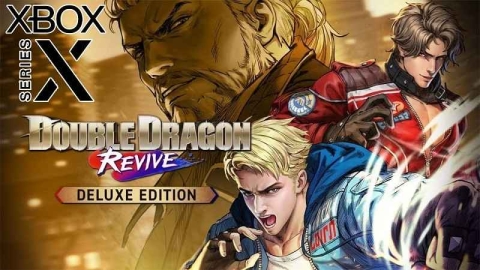 Double Dragon Revive