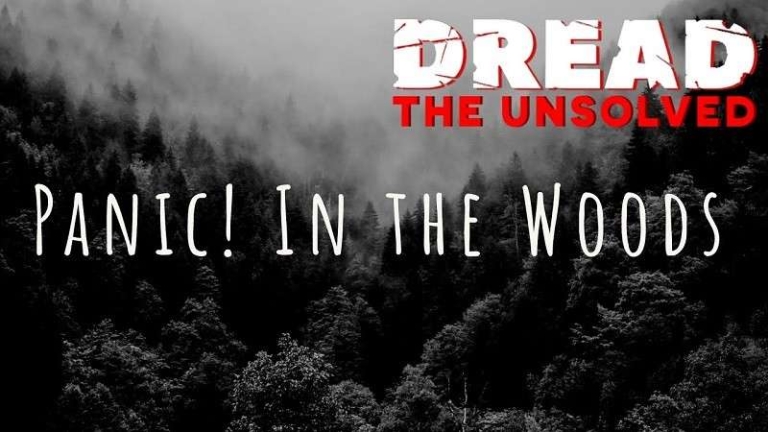 Panic in the Woods Free Download ( Latest v1.0.1)